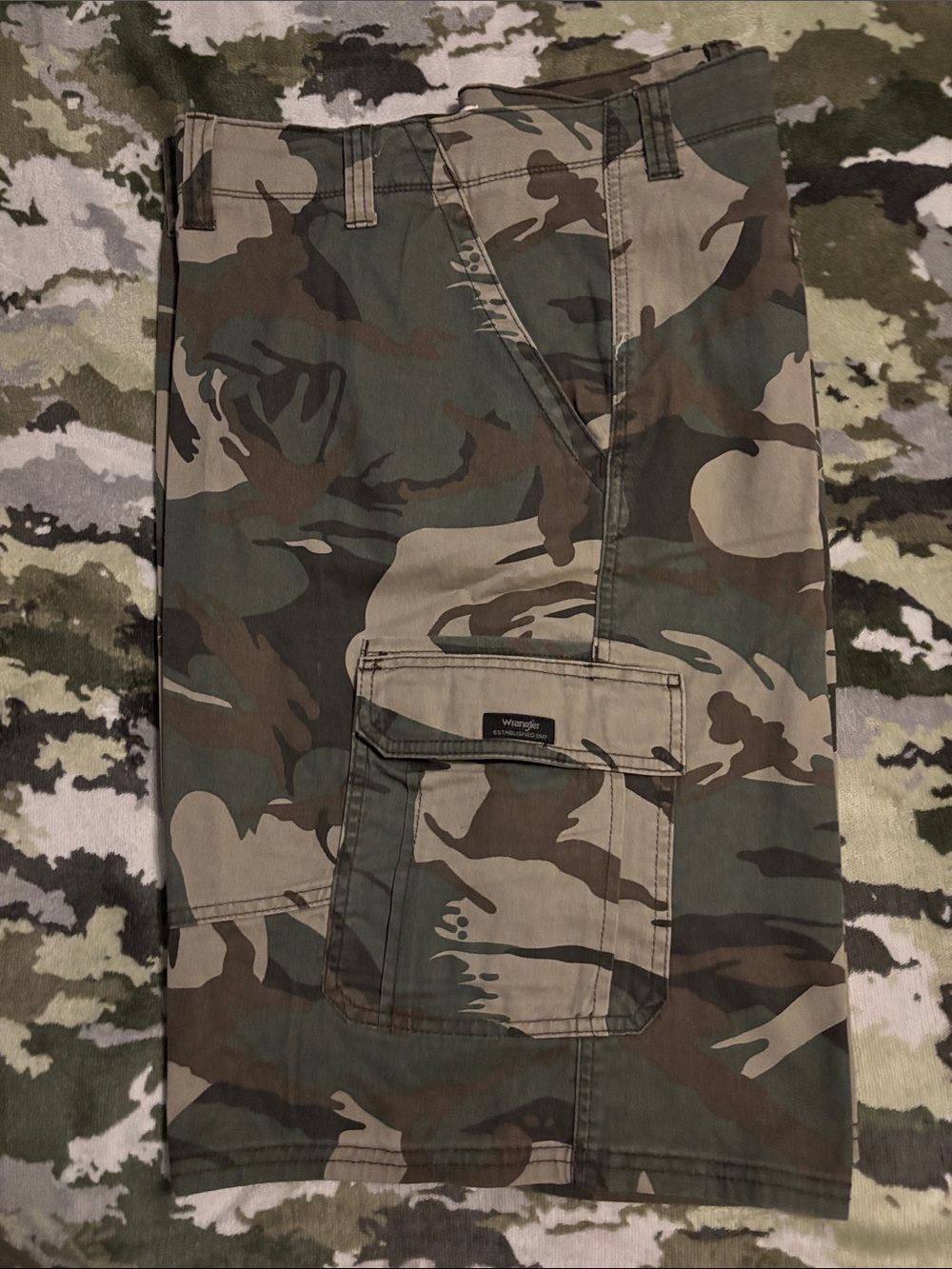 Wrangler Men's Camouflage Cargo Pants - Olive Green & Brown